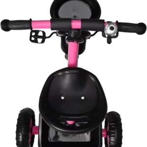 Triciclo Infantil C/duas Cestinhas Até 25 Kg 762 Zippy Toys Cor Rosa