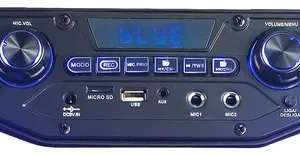 Caixa De Som Amplificada 12′ Polegada Bluetooth Am Fm Tws 480w Cor Preto 110V/220V