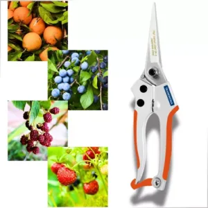 Tesoura De Poda Raleio Profissional Top Tramontina